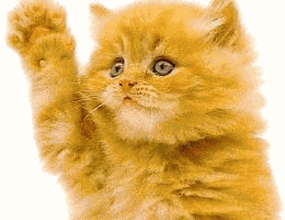 cat-waving-hi-x36r5h4oce_50580373.gif#cat%20waving%20bye%20gifs%20400x309